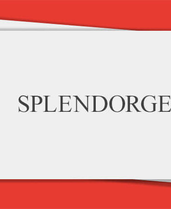 Sonderfarbendruck-Visitenkarten-Splendorgel
